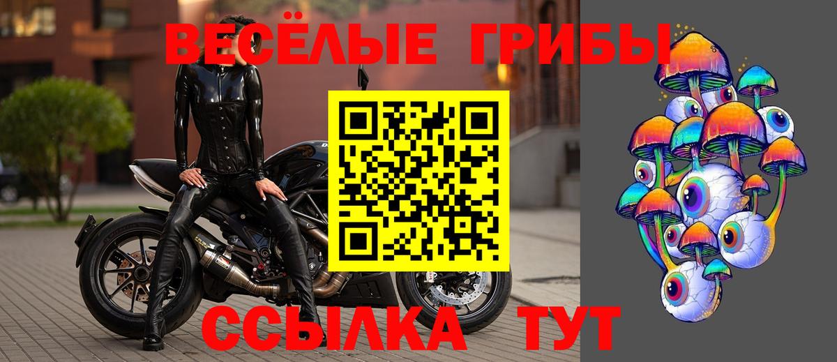 Галлюциногенные грибы ЛСД Касимов